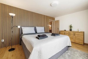 Airport Luxury Apartment & Spa Prague