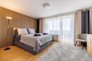 Airport Luxury Apartment & Spa Prague