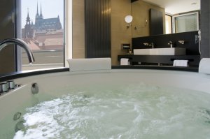 Hotel International Brno