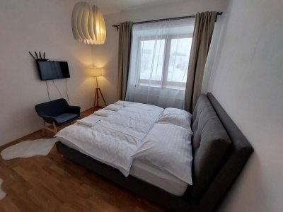 Apartmány u Pivovaru Boží Dar