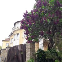 Hotel Garni Rambousek