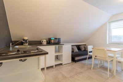 LIPNO Moss apartment