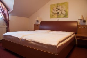 Hotel Magistr