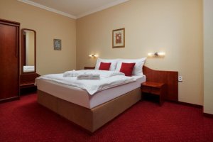 Wellness Hotel Lužan****