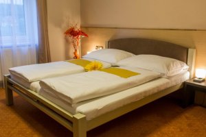 HOTEL LUŽNICE