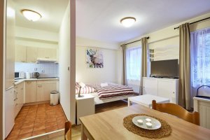 Apartmány Jáchymov