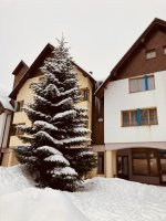 Apartmá a Studia Horní Náměstí