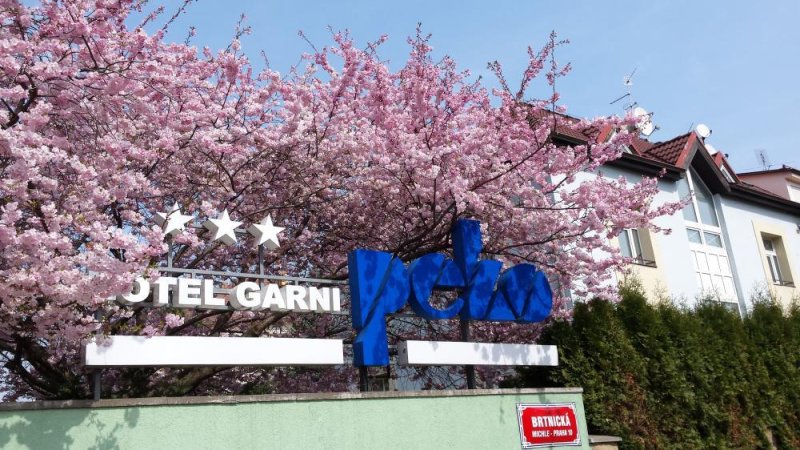 Hotel PEKO hotel garni