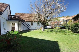 Pension Adel