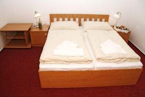 Hotel ALLVET
