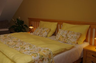 Hotel Palfrig