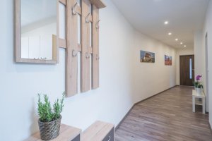 Čajkovskij Apartments Brno-jih