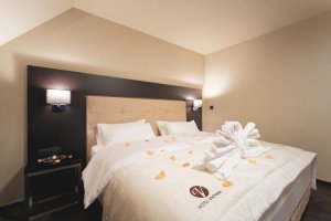 **** HOTEL VICTORY