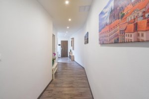 Čajkovskij Apartments Brno-jih