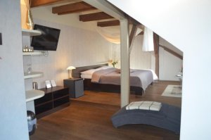 Hotel Peregrin