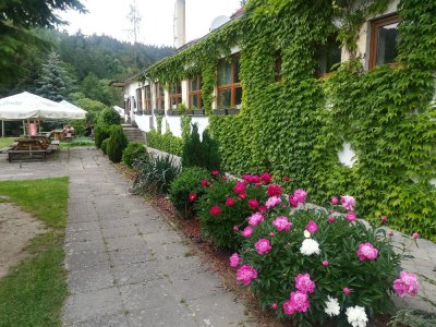 Hotel Kormorán