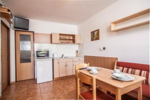 Apartmány Dřevařská