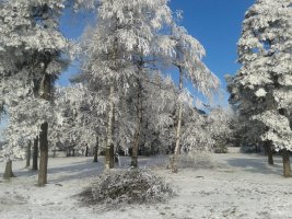 Penzion Sykovec