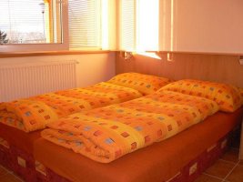 Apartmány Dřevařská