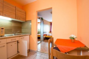 Penzion a restaurace U Třeboňského kola