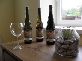 Wellness apartmán Puštík