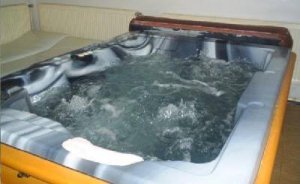 Hotel pod Pralesem