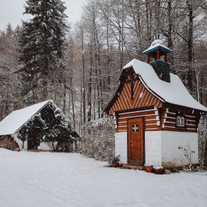 Hotel pod Pralesem