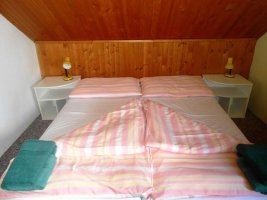 U Pejska a kočičky