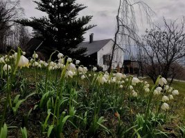 Chaloupka V Podlesí