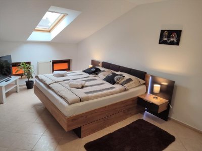 Penzion Šporkův Mlýn, Stanovice