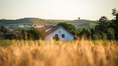 Penzion – Vinařství Martin Šebesta