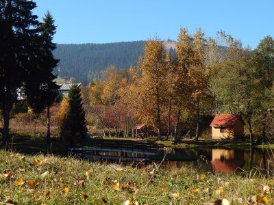 Pension Koruna