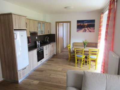 Apartmán u sjezdovky Filipovice