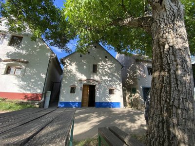 Apartmán Králíček