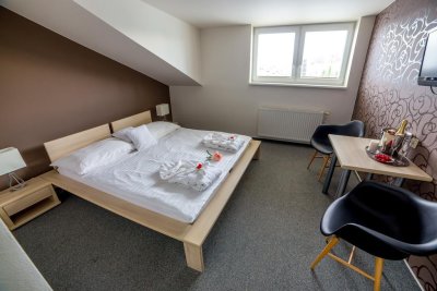 Hotel Lion