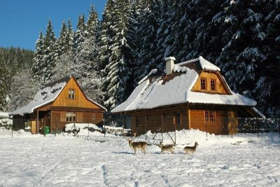 Chalupy u dančí obory