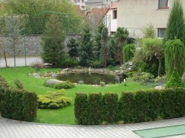 Pension Dalmo