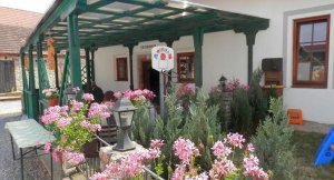 Restaurace a penzion U Lva