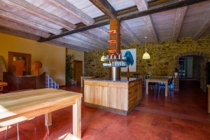 DESIGN PENZION VEJROVNA