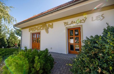 Penzion Blanský les