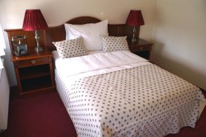 Hotel Mertin