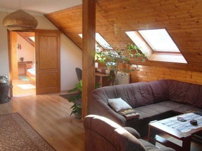 Ubytování Bílý Potok 133