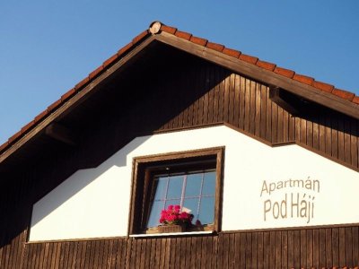 Apartmán Podhájí