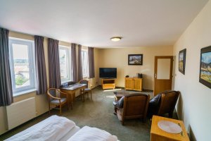 Hotel U Labutě