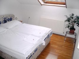 Hotel ROSE & pension VILA TENIS