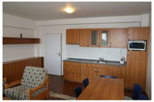 Apartmány Sving Horní Mísečky