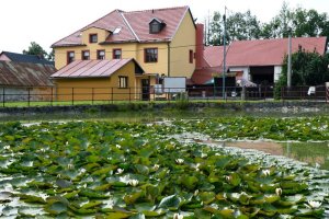 Hotel Rokytno