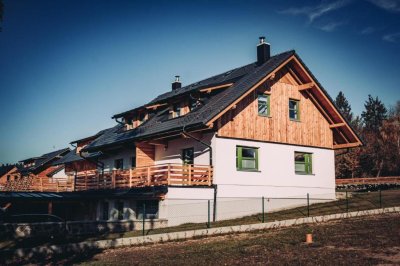 Apartmány Zelený Jelen