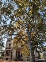 Villa Austerlitz