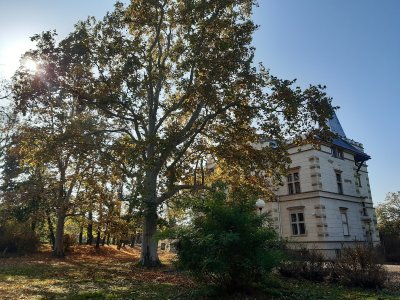 Villa Austerlitz